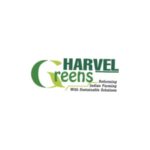 HB Infotech Solutions Coupon Codes 