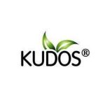 PDK Fashions Coupon Codes 
