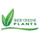 Jani Farsan Coupon Codes 