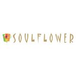 Soulflower