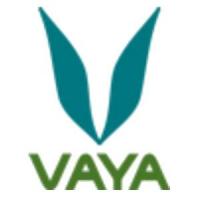 Genes Online Store Coupon Codes 
