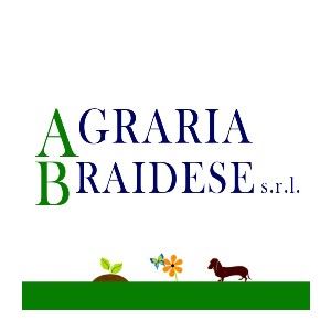Matrix Store Codici Coupon 