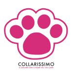 Avvocatinrete Codici Coupon 