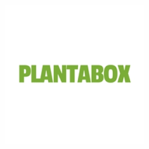 Any Video Converter Codici Coupon 