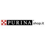 Raffaele Inghilterra Codici Coupon 