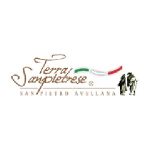 Scedil Trabattelli Codici Coupon 