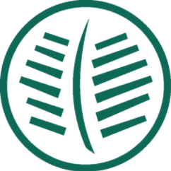 Defacto 쿠폰 & 할인 코드 