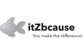 ItZbcause