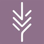 GetTransfer kortingscodes 
