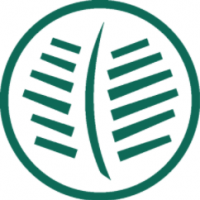 Tkees Promo Codes 