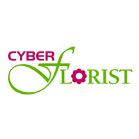J O I E Promo Codes 