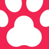 Busbud Promo Codes 