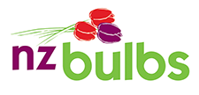 Nz Bulbs Promo Codes