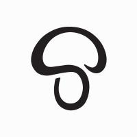 Molly Moorkamp Promo Codes 