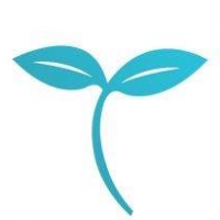 Xenia Boutique Promo Codes 