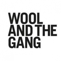 Wool And The Gang