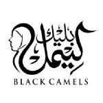 Black Camels Promo Codes
