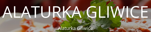 WÓJCIK ILONA kupony 
