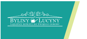 Fashionwebz kupony 