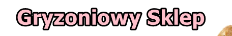 VSDC Video Editor kupony 