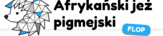 NetCube kupony 