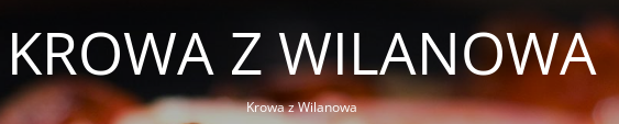 Cziko kupony 