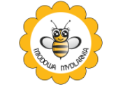 MegaMarket kupony 