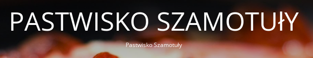 ZooArt kupony 