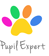 DPS Software kupony 