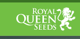 Royal Queen Seeds