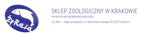 Intershoe kupony 