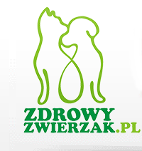 Gazeta Wrocławska Plus kupony 