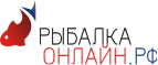 Motorland Промокод 