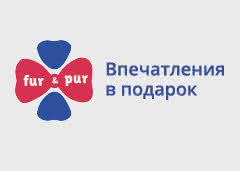 Histudio Промокод 
