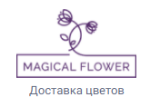 Vizit Промокод 