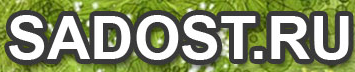 Cesdeals Промокод 