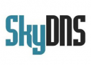 SkyDNS