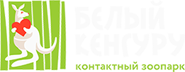 белый кенгуру