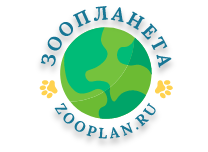 RazoomGames Промокод 
