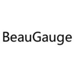 BeauGauge
