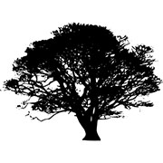 Roselinlin Promo Codes 