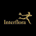 InFlow Promo Codes 