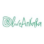 Olive Ankara
