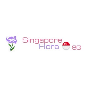Wide Width Promo Codes 