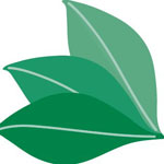 ARTi CRAFTi Promo Codes 