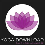 Bangn Body Promo Codes 