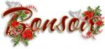 BSI Voucher Code 