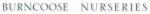TechTyping Voucher Code 