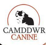 Camddwr Canine