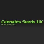 Mojoglasses Voucher Code 